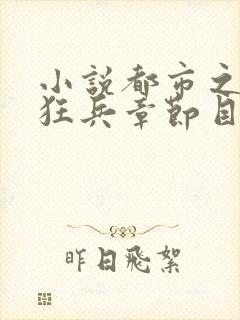 小说都市之最强狂兵章节目录