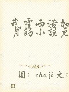 我霍雨浩加入日月的小说免费