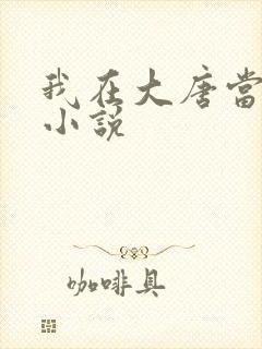 我在大唐当闲王小说