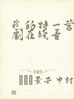 我的特一营电视剧在线看