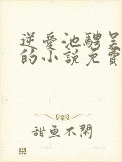 逆爱池骋吴所畏的小说免费阅读