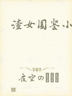 渣女图鉴小说版