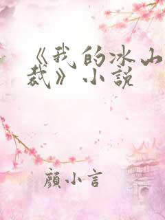 《我的冰山女总裁》小说