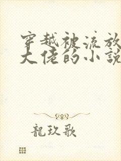 穿越被流放玄学大佬的小说