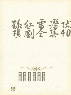 孙红雷潜伏者电视剧全集40集,免费观看