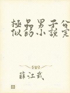 极品男子公寓类似的小说完结