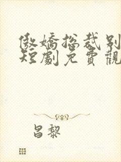 傲娇总裁别想跑短剧免费观看