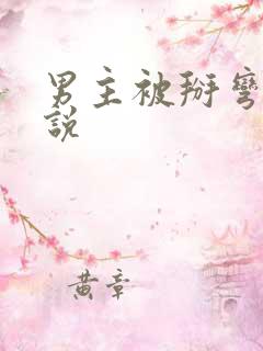 男主被掰弯的小说