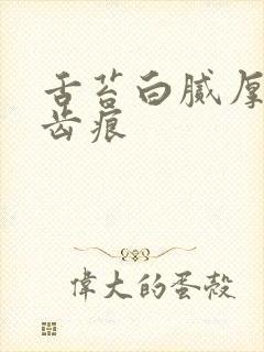 舌苔白腻厚 有齿痕