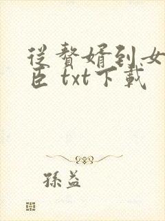 从赘婿到女帝宠臣 txt下载