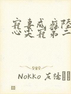 宠妻成瘾陆少的心尖宠第二季