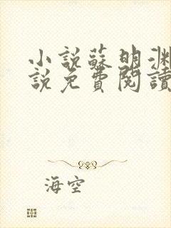 小说苏明渊的小说免费阅读无弹窗