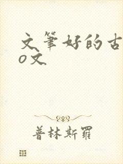 文笔好的古言po文