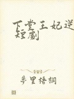 下堂王妃逆袭记 短剧