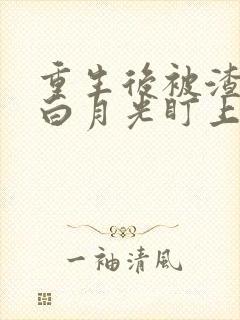 重生后被渣夫的白月光盯上了