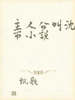 主人公叫沈飞都市小说