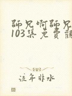 师兄啊师兄动漫103集免费观看