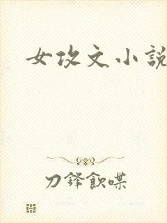 女攻文小说推荐