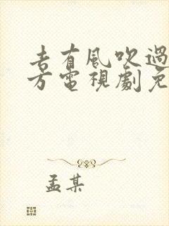 去有风吹过的地方电视剧免费观看