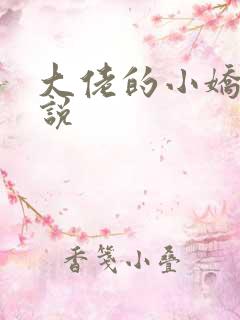 大佬的小娇夫小说