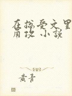 在总受文里抢主角攻 小说