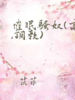 催眠骚奴(高h,调教)