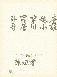 斗罗穿越唐三亲哥唐川小说