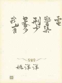 我是刑警电视剧有多少集