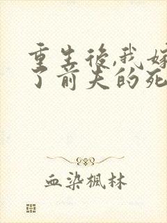 重生后,我嫁给了前夫的死对头