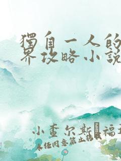 独自一人的异世界攻略小说