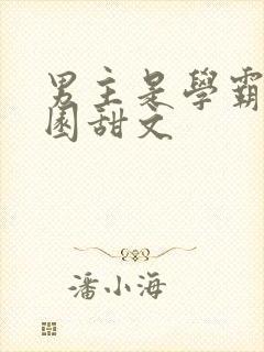 男主是学霸的校园甜文