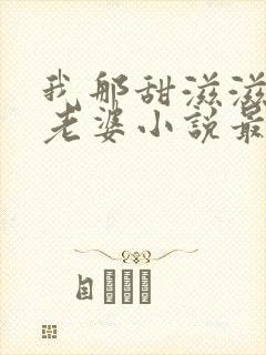 我那甜滋滋又多老婆小说最新章节更新列表