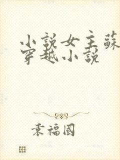 小说女主苏时锦穿越小说