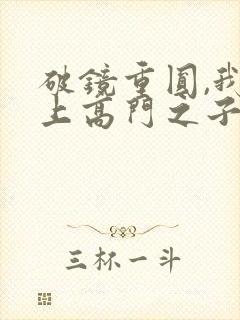 破镜重圆,我爱上高门之子