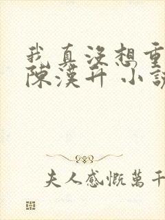 我真没想重生啊陈汉升 小说