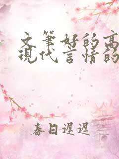 文笔好的高质量现代言情的小说