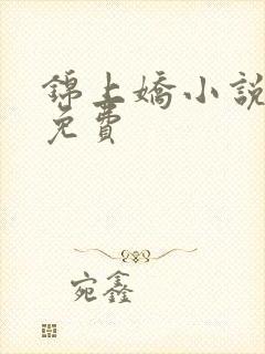 锦上娇小说全文免费