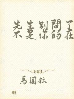 先生别闹了新娘不是你的在线免费播放