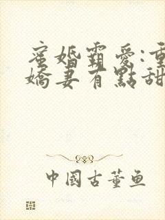 蜜婚霸爱:重生娇妻有点甜