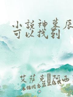 小说神墓辰东哪可以找到