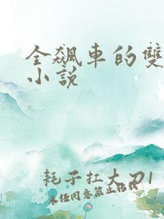 全飙车的双男主小说