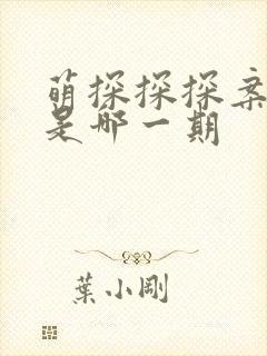 萌探探探案文轩是哪一期