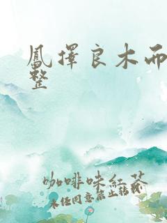 凤择良木而栖完整