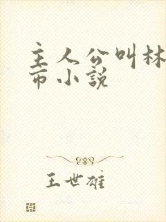 主人公叫林峰都市小说