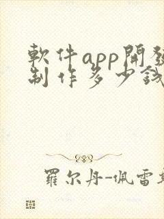 软件app开发制作多少钱