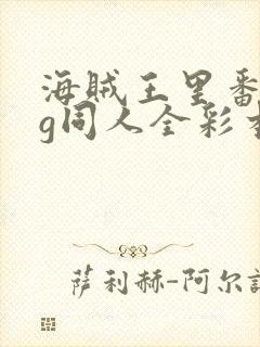 海贼王里番acg同人全彩本子