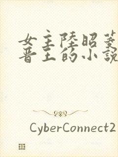 女主陆昭菱男主晋王的小说