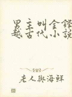 男主叫金锋的穿越古代小说