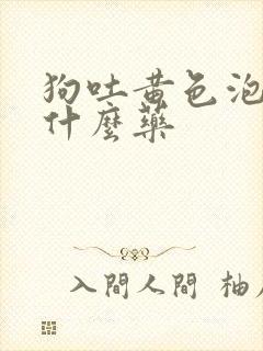 狗吐黄色泡沫吃什么药