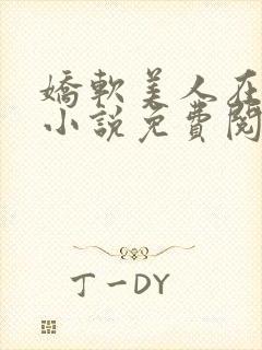 娇软美人在七零小说免费阅读原文